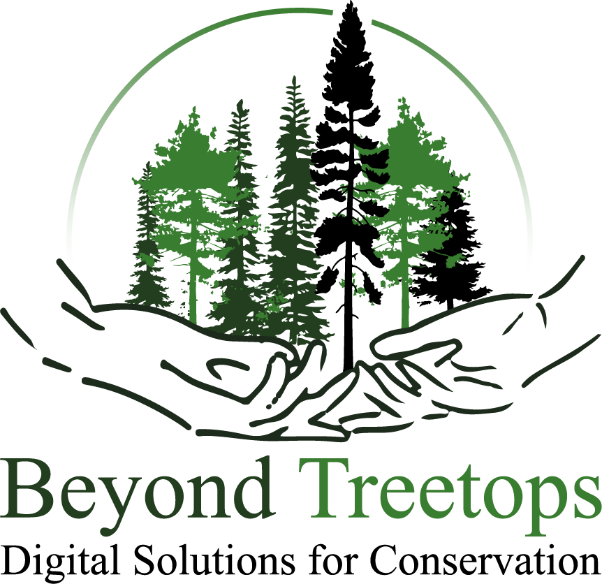 Beyond Treetops